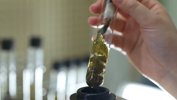 觀光工廠／3點1刻故事館 百年製茶經驗 強調從「泥巴到嘴巴」一條龍生產 