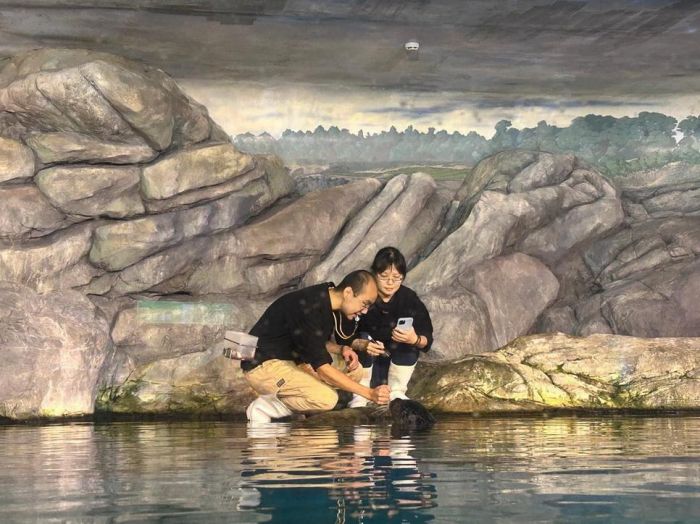 屏東海生館重量級生物眼睛健康檢查 守護海洋生物的靈魂之窗