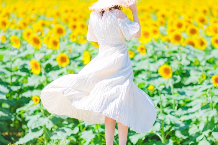 「津南向日葵廣場」每年7月下旬~8月中旬迎來向日葵花季,相當適合規劃暑假之旅。 圖:新潟縣觀光協會/來源
