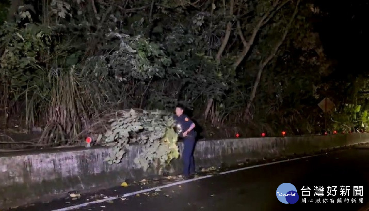 路樹倒塌阻礙通行，警不畏風雨緊急移置。