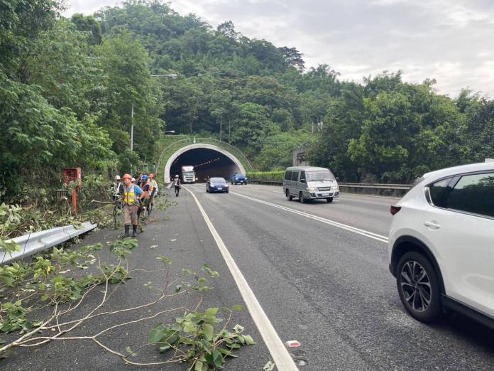 (國道3撞樹畫面曝光)國道3撞樹!隧道口邊坡路樹倒塌 自小客車閃避不及撞擊 81 | 社會 社會 記者爆料網