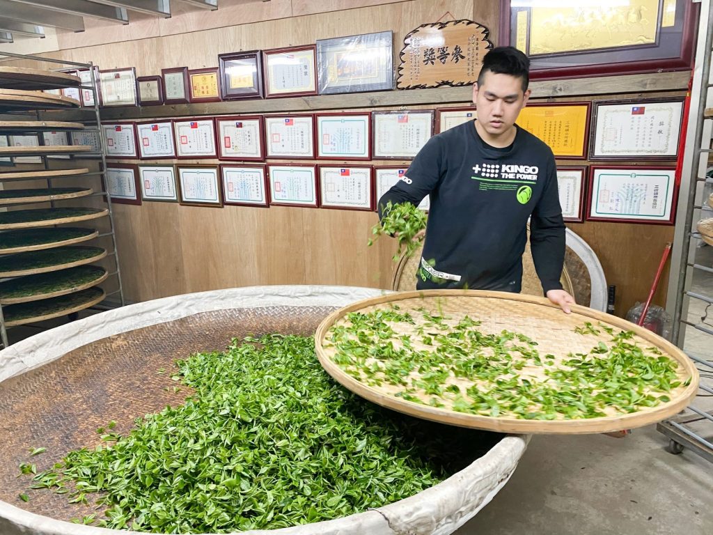 周子耀透過控溫除溼,讓茶菁走水順利,產製鮮味外,掌握萎凋時間、揉捻茶葉及發酵程度就能製出好茶。(圖/新北市政府)