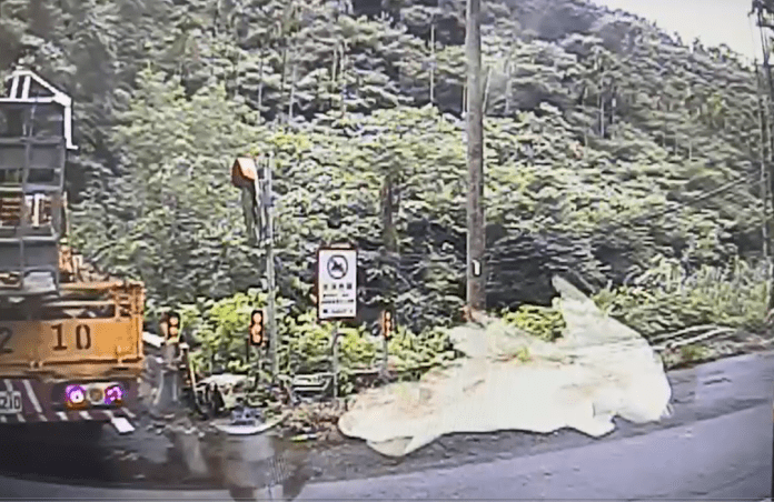 有夠衰!雨天剪樹慘遭"高壓電"電擊 25歲工人全身15%傷燙傷 76 1 0 1 | 社會 社會 記者爆料網