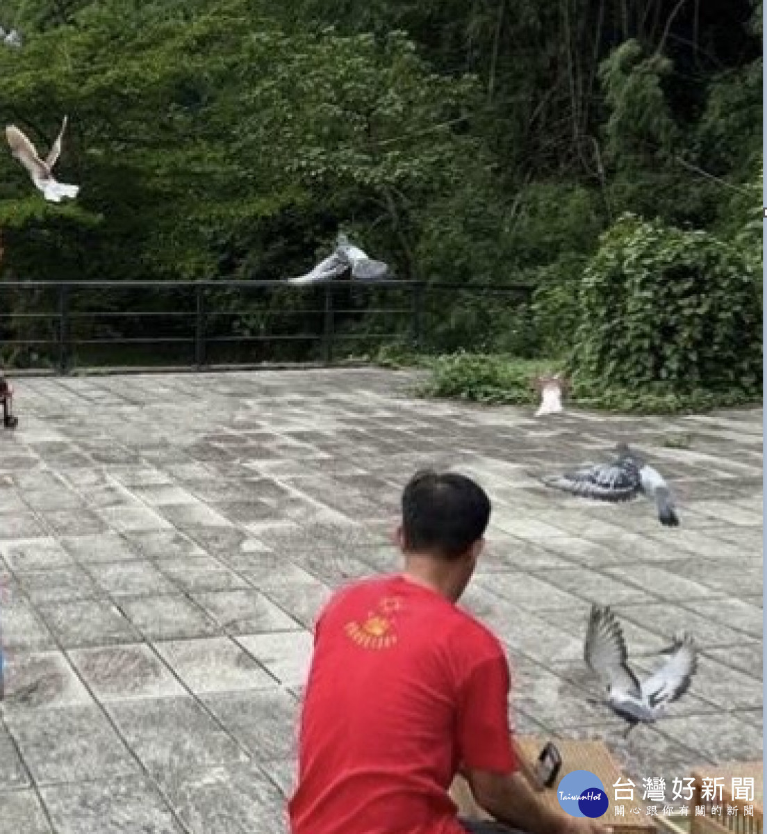宗教團體十八彎古道亂放生 紅衣女到案說明依法函送法辦