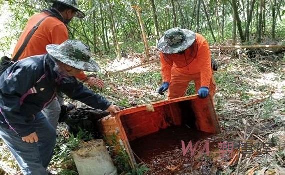 雲林登革熱今增10累計146例 「巡、倒、清、刷」不可停