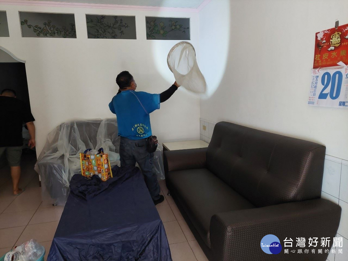 防範登革熱重症　屏東衛生局呼籲民眾注意防蚊措施