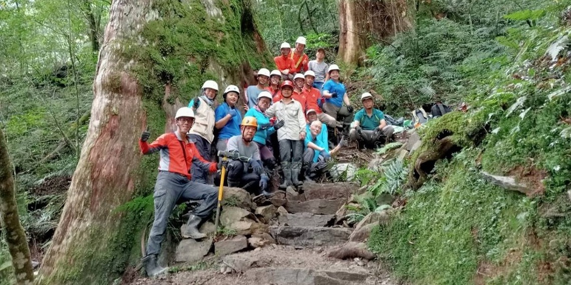 地表最強工班! 新竹分署步道志工完成拉拉山20號巨木旁步道修護
