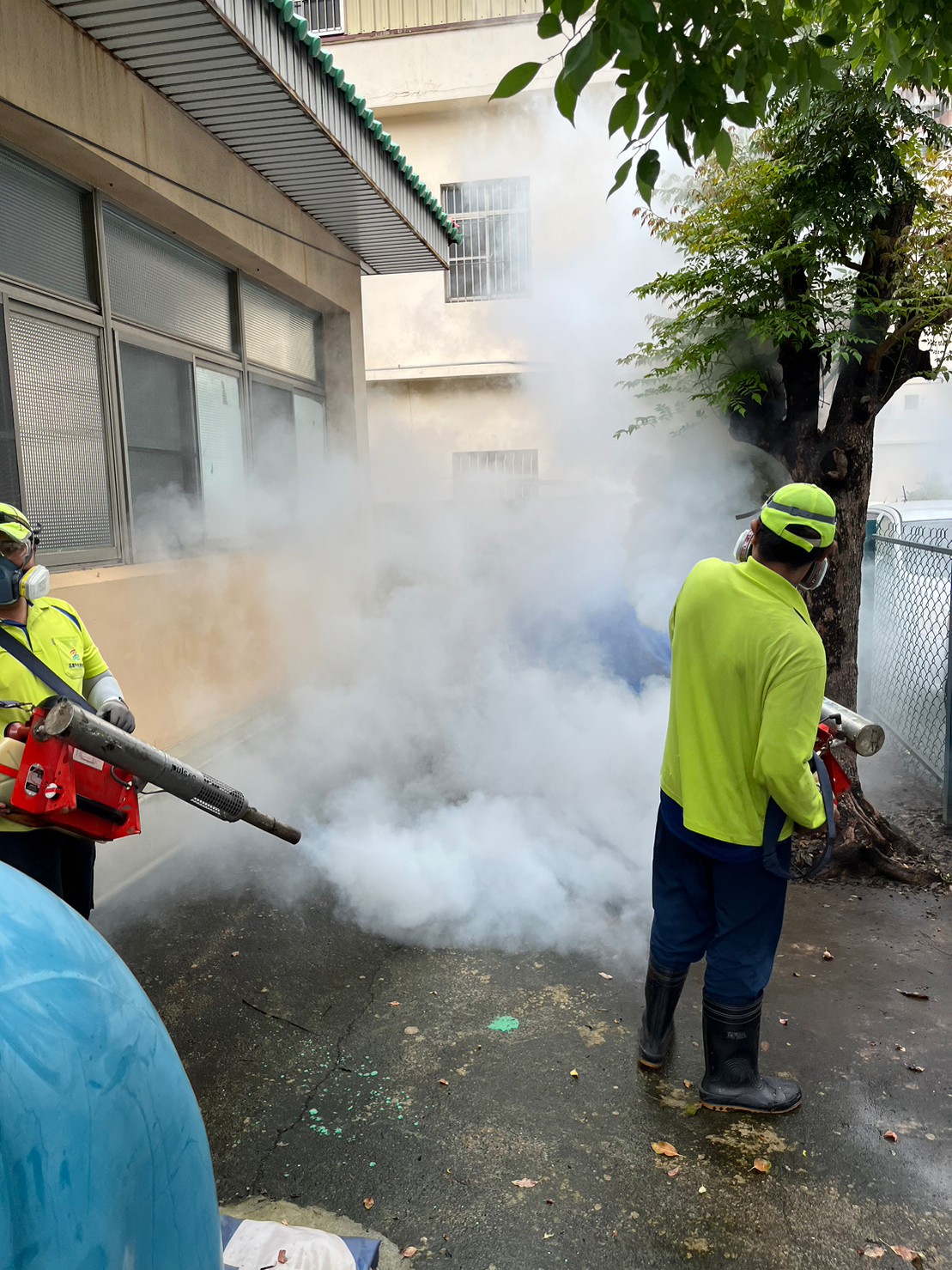 高雄市本土登革熱+2 小港區青島里群聚疫情累計6例