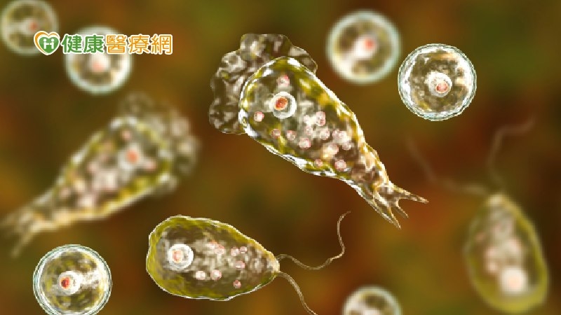 1女疑玩水染「食腦變形蟲」病亡 好發夏季、死亡率99%!戲水應3點預防