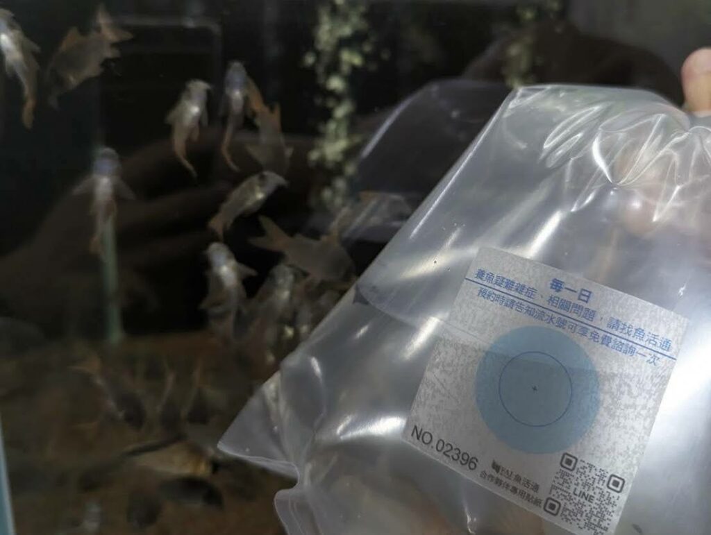 購買後可憑貼紙流水號享顧問免費諮詢一次的優惠（圖由鼠博館提供）