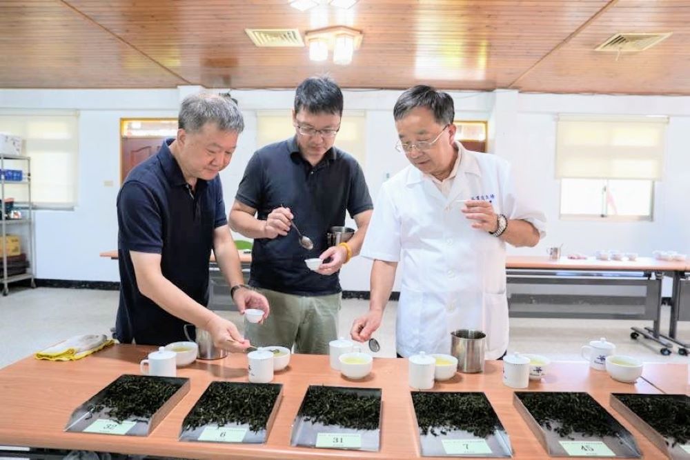 《圖說》評比從外觀、水色、香氣評選出特等獎、頭等獎、貳等獎及參等獎共4等次。〈農業局提供〉