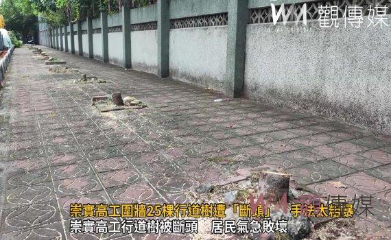 影/修樹變砍樹!崇實高工圍牆25棵行道樹遭「斷頭」 手法太粗暴