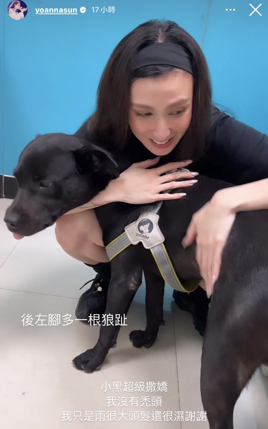 歌手孫尤安高速公路冒險救狗,感人舉動網友讚爆!