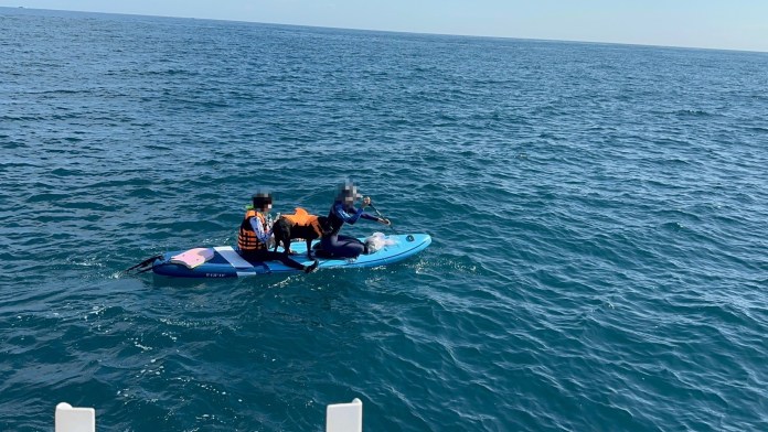 SUP划不回岸邊 象鼻岩海域3人1狗有驚無險獲救 73 711 4 | 社會 社會 記者爆料網