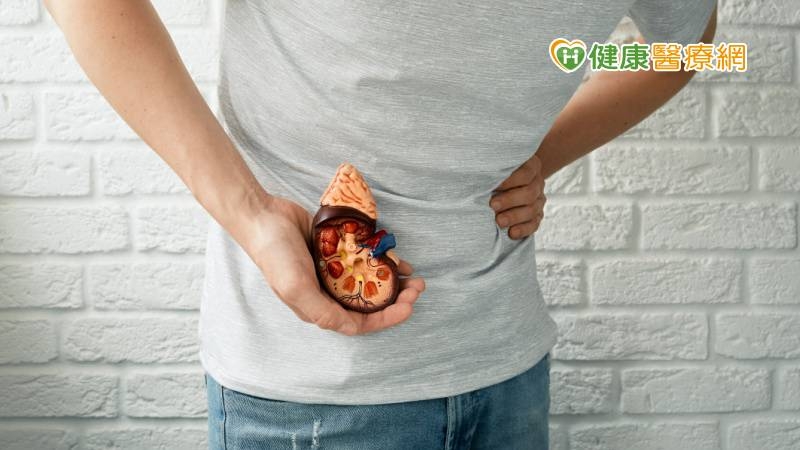 尿路結石尿不出來 軟式輸尿管鏡全清除