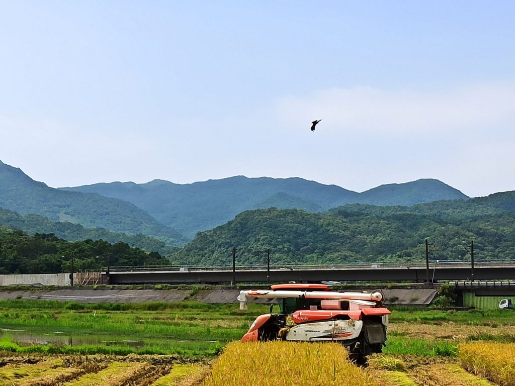 全球最知名的鳥類資源線上資料庫eBird紀錄田寮洋地區出現鳥種已達355種,居全台之冠,棲地保育有成.。(圖/新北市政府提供)
