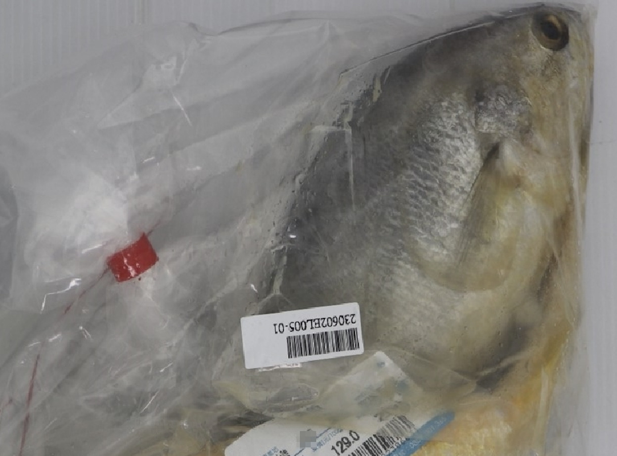 中國「黃魚」驗出禁藥!過量恐傷腎 家樂福、大潤發都有賣 324 中國「黃魚」驗出禁藥!過量恐傷腎 家樂福、大潤發都有賣 323