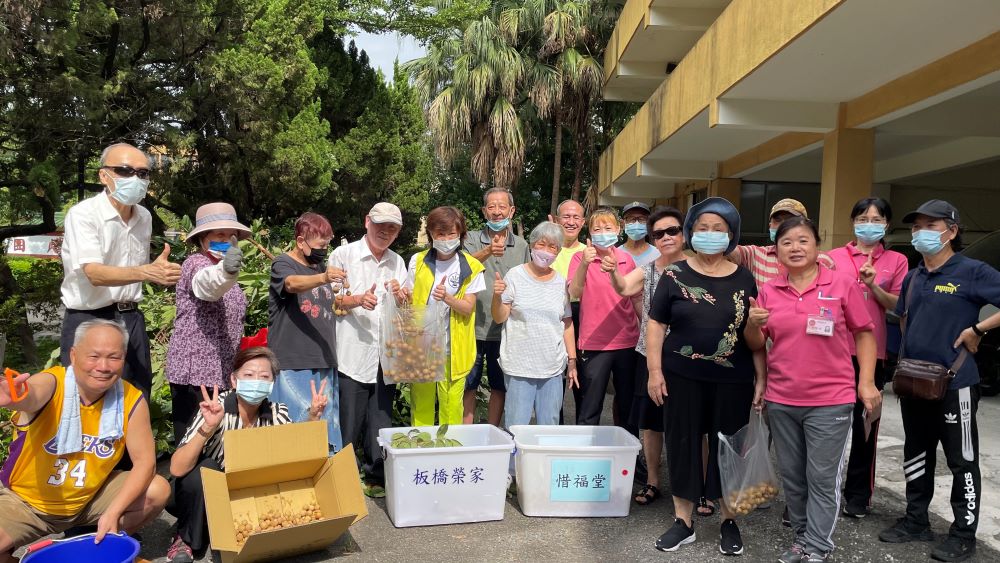 《圖說》板橋榮家龍眼水果大豐收,榮民長輩回憶幼年採果樂。〈板橋榮家提供〉