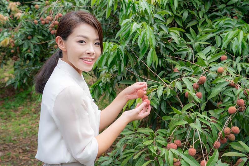 圖/擷取自高虹安