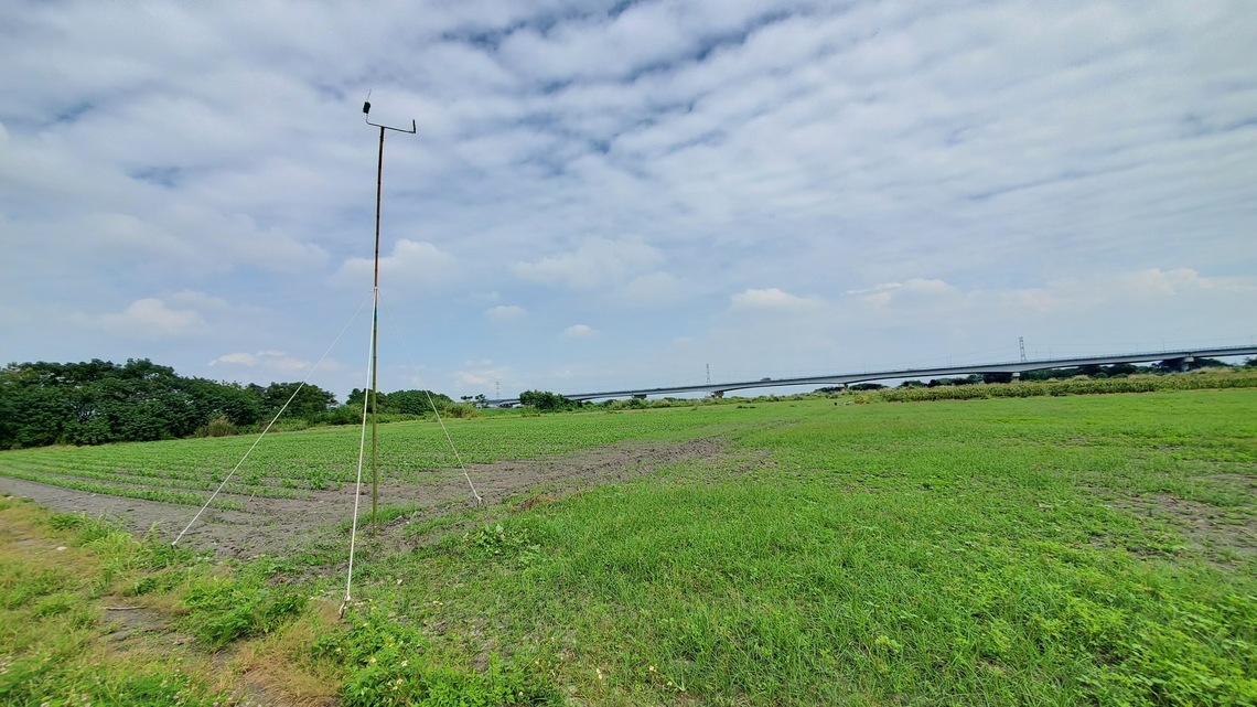 屏東草鴞生態服務給付即日起開放申請 1公頃最高可領3萬3,000元