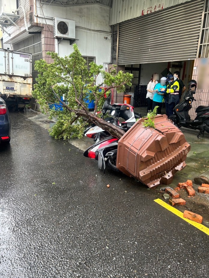 10萬真柏遭撞倒! 竟是貨車門沒關好會車釀禍 75 8CD7DD93 7233 42BE 8F8F D05548BE3C71 | 社會 社會 記者爆料網