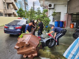 10萬真柏遭撞倒! 竟是貨車門沒關好會車釀禍 73 FB101542 E90B 4A99 A8C1 94B7502E0F3B | 社會 社會 記者爆料網