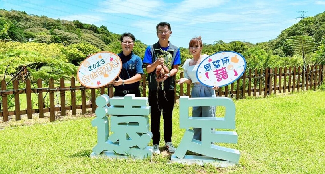 2023金山甘藷季!放藷假來去田間焢土窯