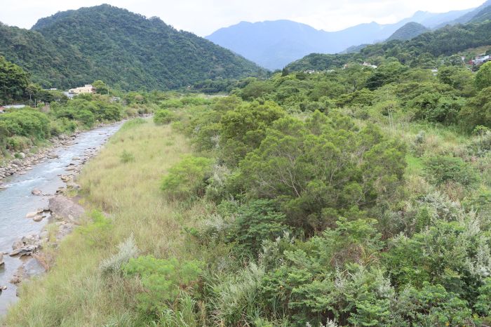 東河溪南庄橋淤積居民憂心釀災 鍾東錦邀河川局會勘商討整治方案
