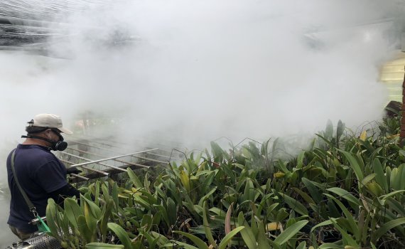 竹塘病媒蚊指數超高!與雲林縣一溪之隔鄉公所加強殲滅天狗熱力道