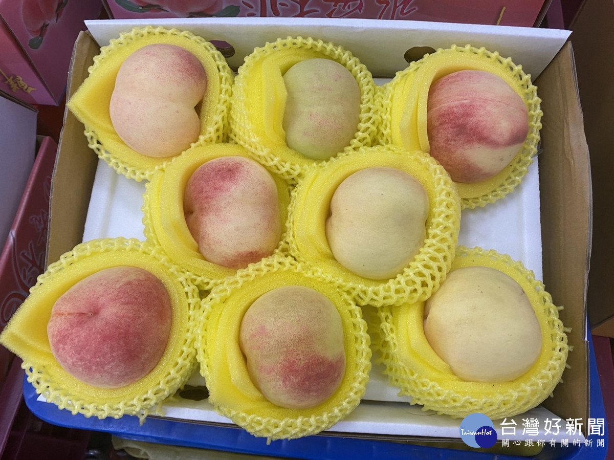 南投縣府發起員工團購災區農產。（縣府提供）