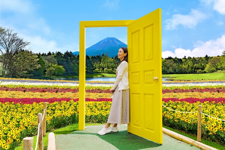 秋遊日本必追！「2023彩虹花卉祭」打造一望無際彩虹花海