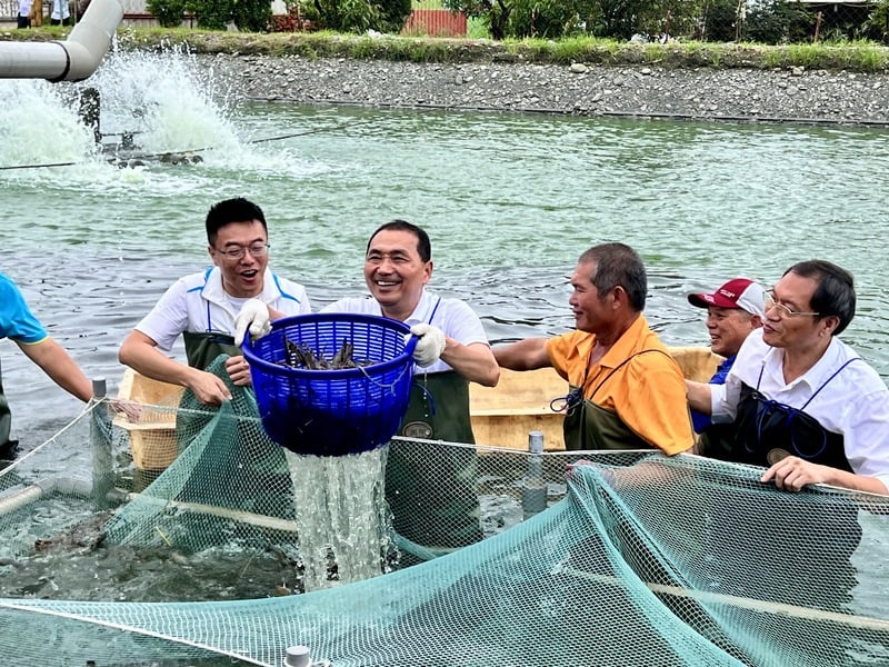 國民黨總統參選人侯友宜(左2)參訪屏東縣鹽埔鄉泰國蝦養殖專區,現場換上青蛙裝,走入水深及大腿的養殖池中與漁民一起體驗撈蝦。 中央社