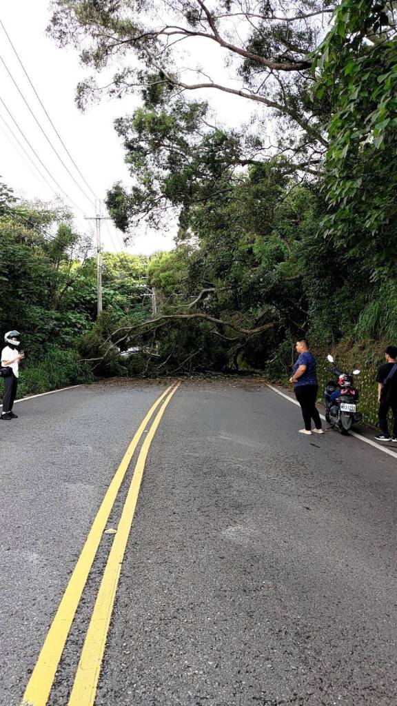 連日豪雨彰化員草路坍方樹倒 交通受阻4小時警通報清除 75 | 社會 社會 記者爆料網