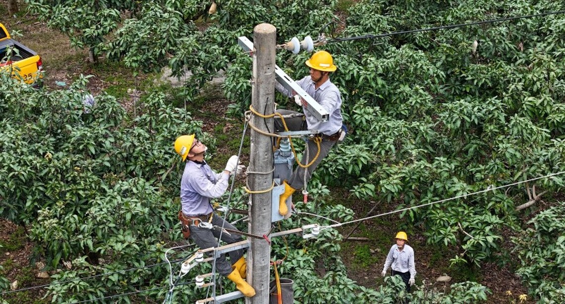 台電鳳山區處動員14台工程車共47人  加強桃源區供電穩定