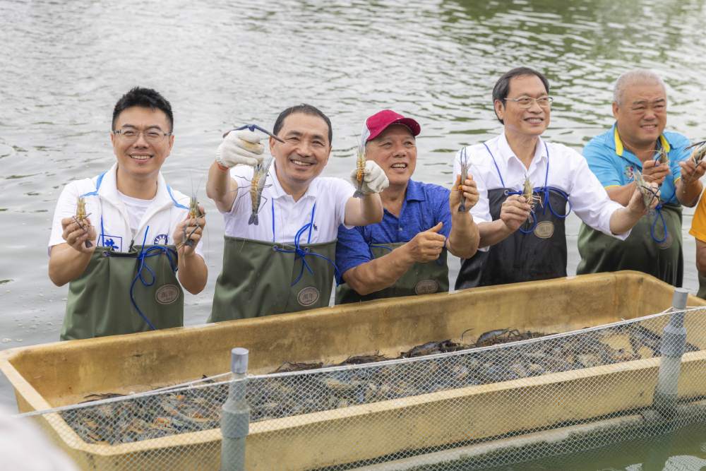 體驗採檸檬抓蝦 侯友宜端牛肉:推外銷增加農漁民收入 252 體驗採檸檬抓蝦 侯友宜端牛肉:推外銷增加農漁民收入 251