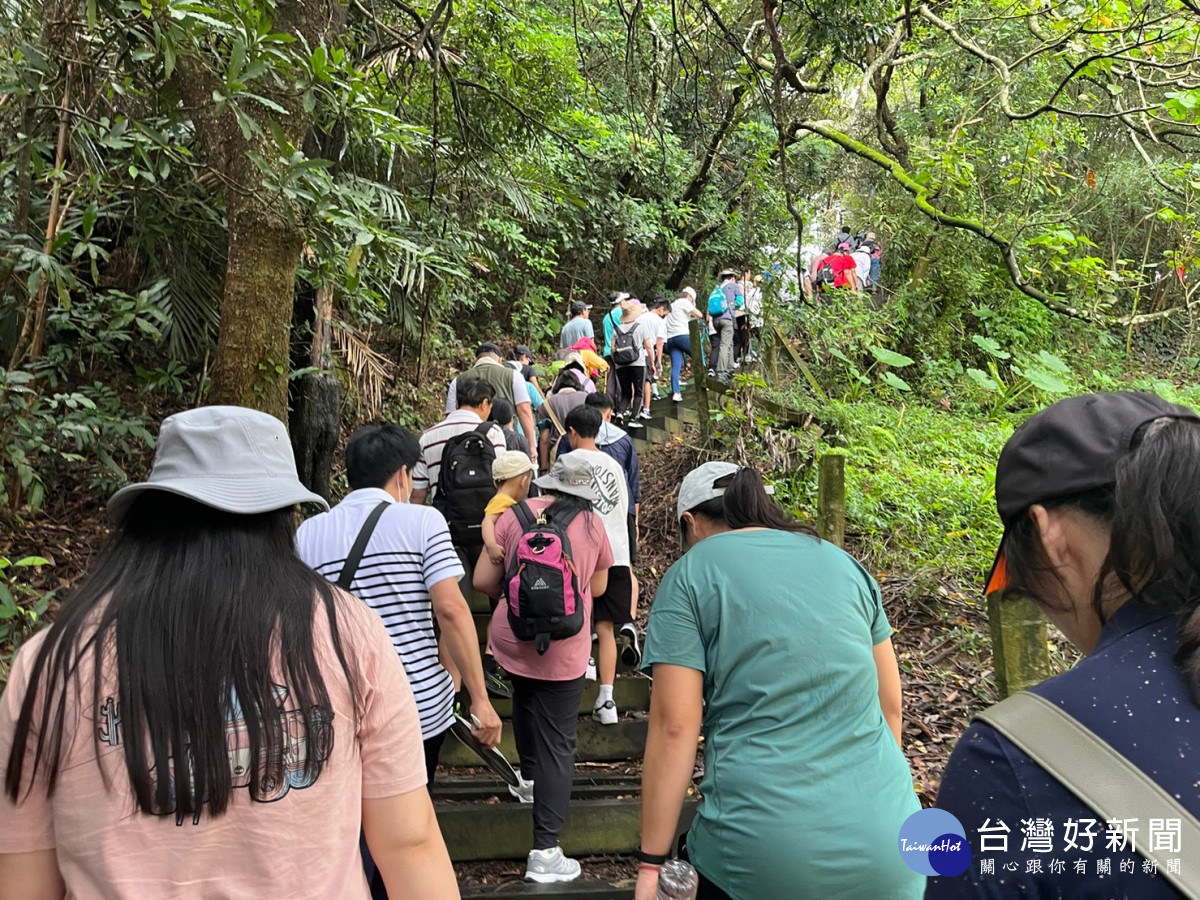 開心健行享受挑夫古道的林蔭美景。