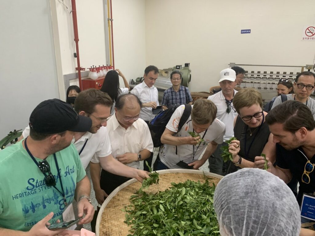 介紹鐵觀音製程給歐盟參訪團。圖/茶改場