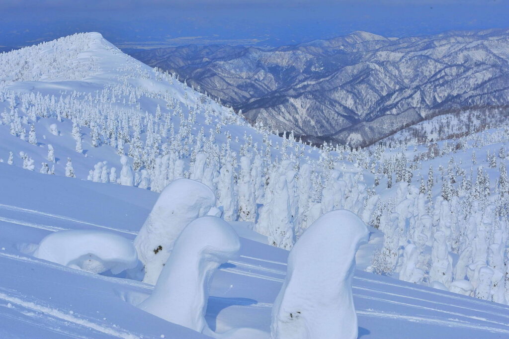 森吉山樹冰