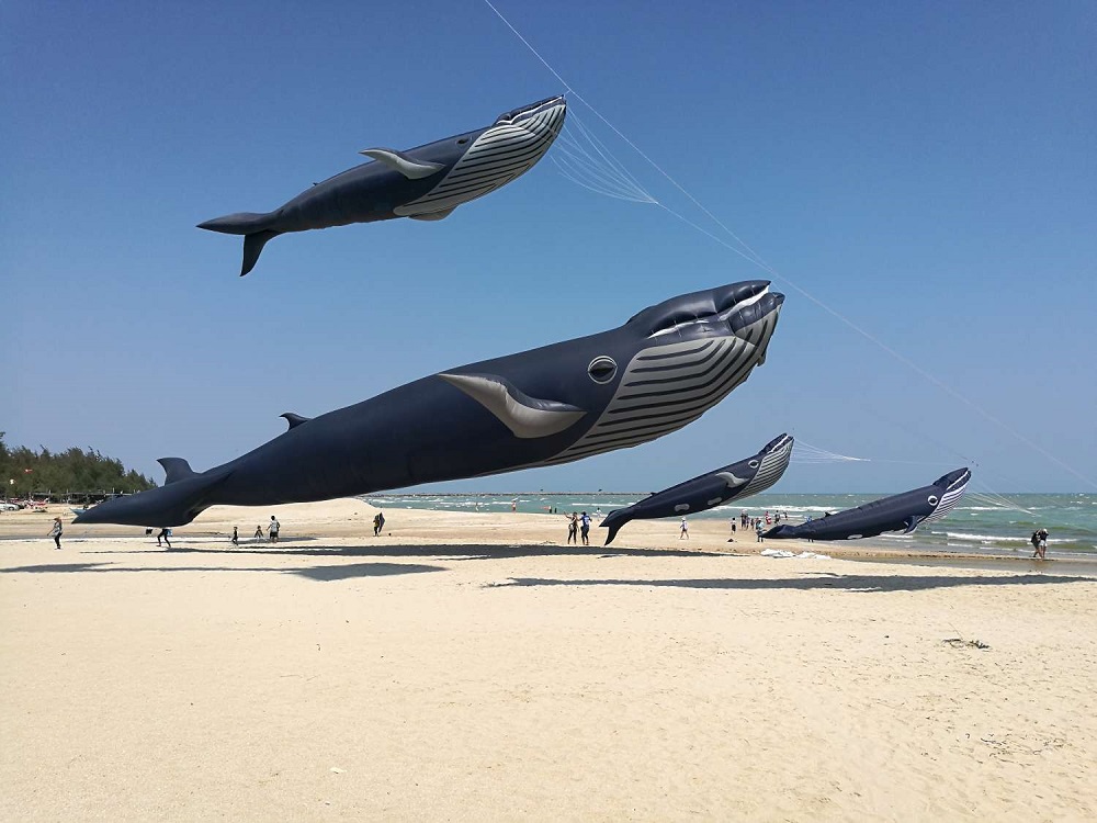 新竹市國際風箏節9月登場 全球最大30米鯨魚風箏首度同台放飛 274 新竹市國際風箏節9月登場 全球最大30米鯨魚風箏首度同台放飛 273