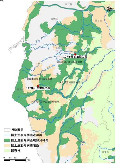 石虎出現了!睽違17年現蹤台南 國土生態綠網串聯生物廊道