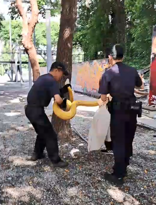 1692782361817 | 社會 社會 記者爆料網