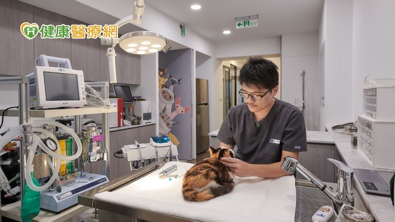 「體重下降」可能是寵物生病的指標 定期健檢讓寵物長伴久久
