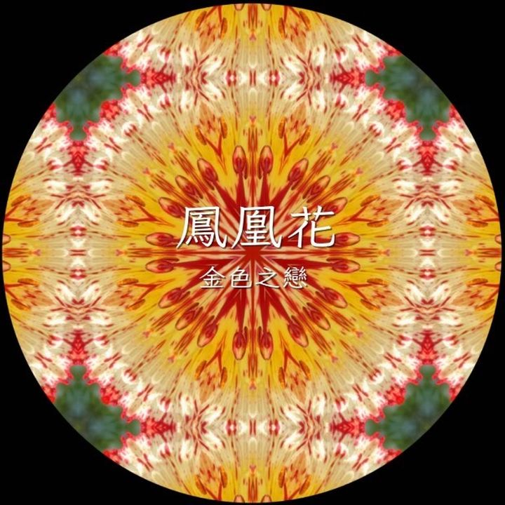 花TIME!四季花卉來報時 花蓮太平洋公園百花齊放