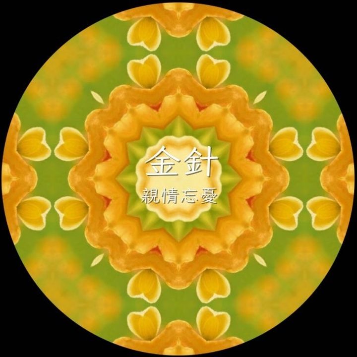花TIME!四季花卉來報時 花蓮太平洋公園百花齊放