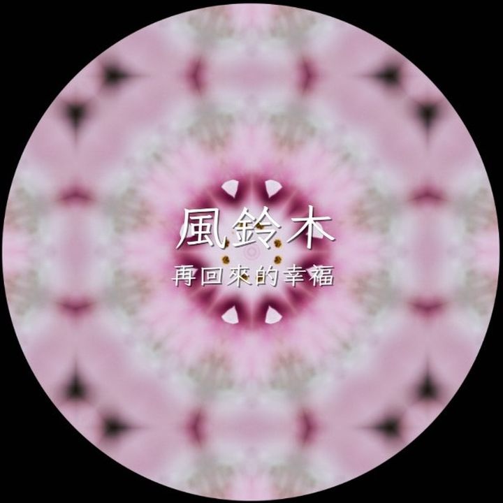 花TIME!四季花卉來報時 花蓮太平洋公園百花齊放