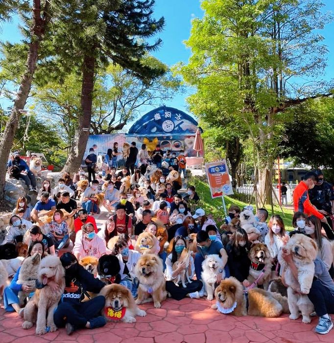 觀光工廠/HiONE啵比星球改造廢棄樂園 打造亞洲最大寵物天堂