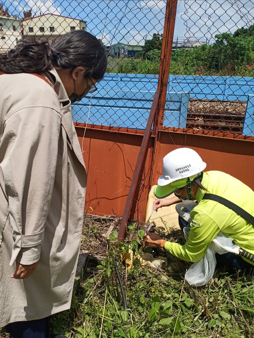 漾新聞|高雄市今天新增7例本土登革熱 本土確診累計破百 大寮區群聚6例 左營前鎮民眾也要小心