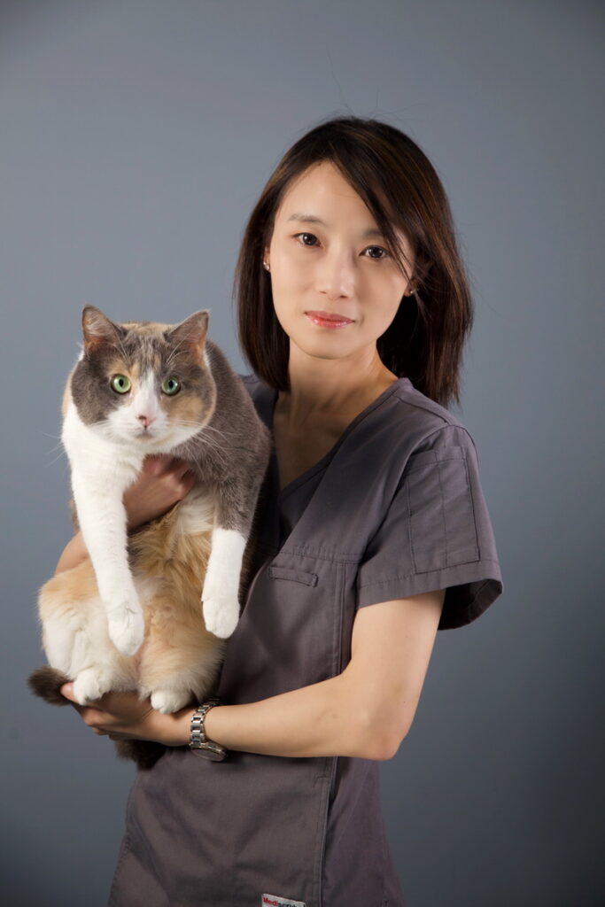 貓專科獸師郭嵐忻說,貓科動物特別會隱藏⾃⼰的不舒服與疼痛,飼主宜特別注意。(圖片提供:小王子動物醫院)