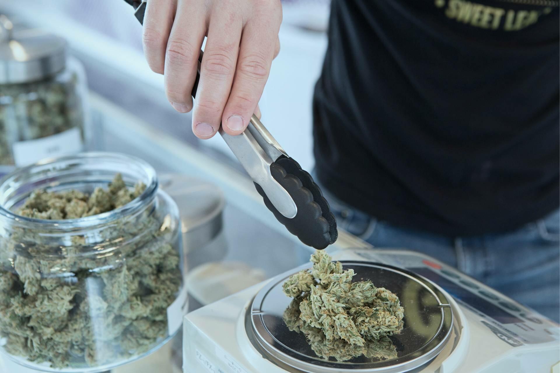 【臺灣調查網】全球民調/德國 不同意!德政府欲導彈援烏並推大麻合法化 卻遭民齊反對 278 New Project - 2023-08-28T142857.946