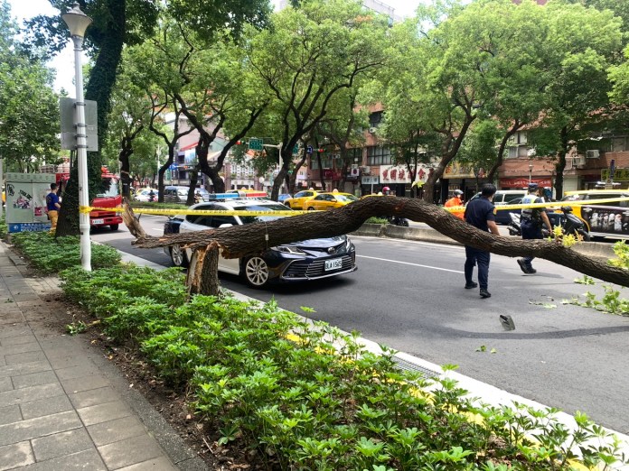更新後車視角影片/北市中山區路樹倒塌 路過6旬騎士遭砸送醫死亡 82 312 16 | 社會 社會 記者爆料網